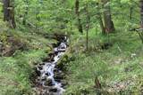 0000 Big Spring Trail - Photo 5