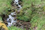 0000 Big Spring Trail - Photo 6