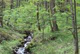 0000 Big Spring Trail - Photo 7