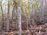 E- 8 Red Wolf Run - Photo 1