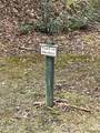 55 Boone Cove Road - Photo 9
