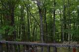 000 Cabin Creek Road - Photo 18