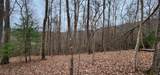 4.17 Acres Spruce Lane - Photo 2