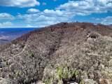 4.17 Acres Spruce Lane - Photo 15