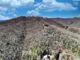 4.17 Acres Spruce Lane - Photo 18