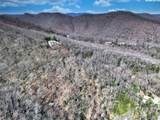 4.17 Acres Spruce Lane - Photo 20