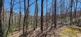 4.17 Acres Spruce Lane - Photo 4