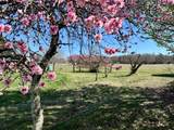 4085 Nc 152 Highway - Photo 35