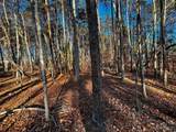129 Hunt Camp Trail - Photo 3