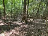 2790 Great Falls Highway - Photo 15