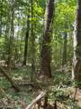 2790 Great Falls Highway - Photo 5