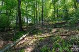 00 Deer Park Lake Road - Photo 14