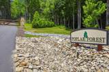 Lot 64 Poplar Forest Drive - Photo 15