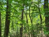 Lot 185 & 186 Weaver Lane - Photo 3