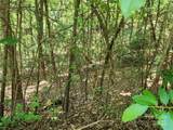 Lot 185 & 186 Weaver Lane - Photo 6