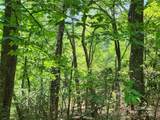Lot 185 & 186 Weaver Lane - Photo 7