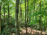 Lot 124, 125, & 101 Banjo Court - Photo 4