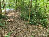 Lot 124, 125, & 101 Banjo Court - Photo 6