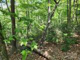 Lot 124, 125, & 101 Banjo Court - Photo 8