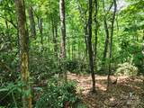 Lot 124, 125, & 101 Banjo Court - Photo 9