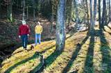 2.32 acres Lot 72 Round Mountain Parkway - Photo 21