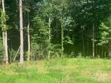 2.32 acres Lot 72 Round Mountain Parkway - Photo 4
