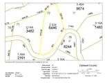 2.32 acres Lot 72 Round Mountain Parkway - Photo 7