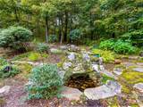 616 Old Growth Forest Road - Photo 13