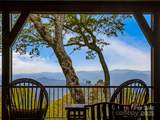 616 Old Growth Forest Road - Photo 21