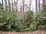 Lot #21 Toxaway Falls Drive - Photo 12