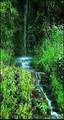 0 Big Hungry Road - Photo 38