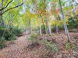 TBD Rose Creek Road - Photo 2