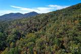 TBD Rose Creek Road - Photo 13