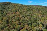 TBD Rose Creek Road - Photo 15