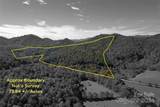 TBD Rose Creek Road - Photo 3
