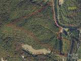 TBD Rose Creek Road - Photo 4