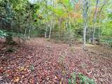TBD Rose Creek Road - Photo 6