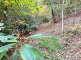 TBD Rose Creek Road - Photo 7