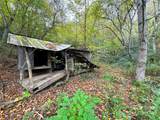 TBD Rose Creek Road - Photo 9