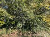5.45 acres Memorial Park Road - Photo 9