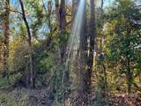 11.53 acres Old Camden Highway - Photo 11