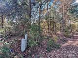 11.53 acres Old Camden Highway - Photo 18