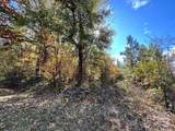 11.53 acres Old Camden Highway - Photo 4