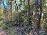 11.53 acres Old Camden Highway - Photo 6