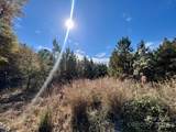 11.53 acres Old Camden Highway - Photo 8