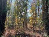 11.53 acres Old Camden Highway - Photo 9