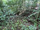Lot 58 Turn-A-Bout Court - Photo 30