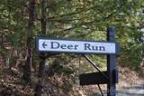 111 Deer Run Lane - Photo 4
