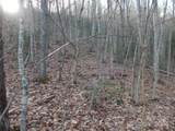 00 Hoot Owl Bill Road - Photo 17