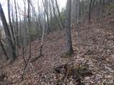 00 Hoot Owl Bill Road - Photo 3